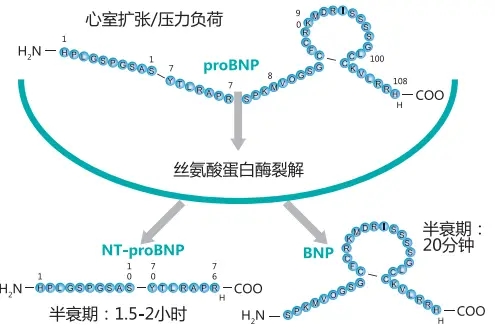 微信图片_20240816090931.jpg